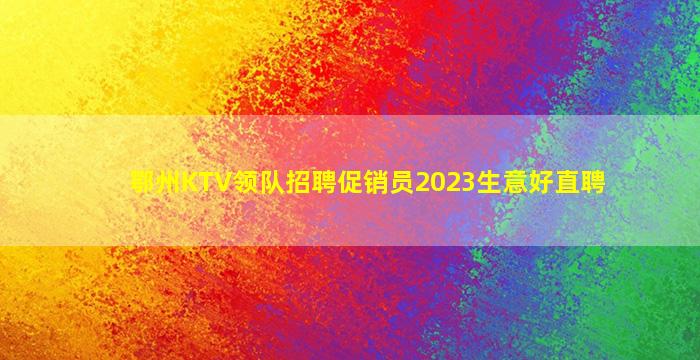 鄂州KTV领队招聘促销员2023生意好直聘